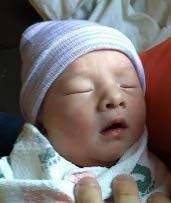 News of the Department of Animal Science