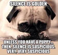Funny Pug Dog Meme Pun Lol Pugs Funny Bulldog Funny Pugs