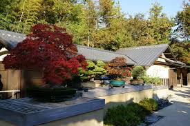 April 14 · piekoszów, poland ·. Bonsai Garden In Showa Kinen Park Showa Memorial Park Ambassadors Japan