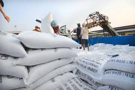 Giá gạo Việt Nam xuất khẩu đang cao nhất thế giới