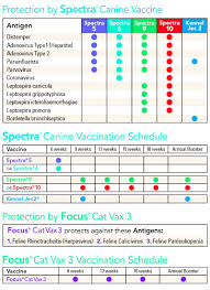 Check out our dog puppy shot chart selection for the very best in unique or custom, handmade well you're in luck, because here they come. Canine Coronavirus Vaccine Price Alert Nation