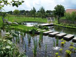 waterzuivering zwemvijver vijvers zwemvijvers buiten vijvers