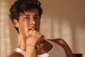 Profil & Fakta Terbaru Shawn Mendes