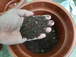 Can you use garden soil in a pot. Ideas For Improving Garden Soil Make Your Own Potting Mix