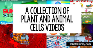 Plant and animal cells grade 5 background in. Videos For Teaching Plant And Animal Cells