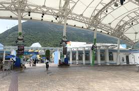 与大熊猫龙凤胎庆祝儿童节| 香港海洋公园