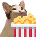 You can choose the most popular free transparent cat gifs to your phone or computer. Pop Cat Sticker Pop Cat Discover Share Gifs