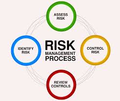 Image result for Risk Management