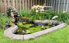 Maybe you would like to learn more about one of these? How To Make A Container Water Garden Nutroo