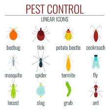 Do it yourself lawn and pest control is located in oviedo, florida. Lawn Care Contact Best Lawn And Pest Control Company Orlando Fl