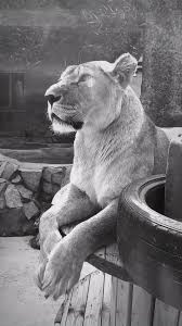 Я хочу ту твою сторону, которую ты ни кому не показываешь ...