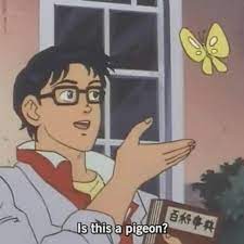 Check spelling or type a new query. Butterfly Anime Meme Generator Imgflip