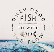 Only Dead Fish Go With The Flow Fishing Quotes Quotes Dead Fish