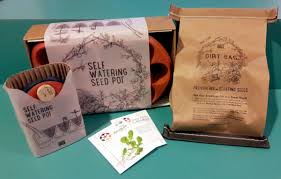 self watering seed pots