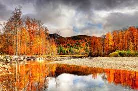 Mysterious old forest stock photography by subbotina 83 / 1,628 heart tree stock photos by kevron2001 54 / 422 autumn scenery. 16 Places With Beautiful Fall Scenery Cheapism Com