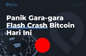 Panik Gara Gara Flash Crash Bitcoin Hari Ini Triv Blog
