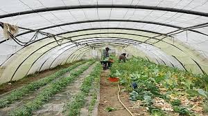 Travailler La Terre Pour Sortir De La Galere