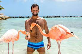Flamingo Beach E Renaissance Island Passeios Em Aruba