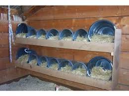 Decouvrez Comment Realiser Des Pondoirs Pour Poules A Partir De Materiels De Recuperation Poulets De Basse Cour Elever Des Poulets Et Poulailler