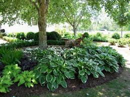 Every shade garden needs hostas. Flower Bed Designs Under Trees 32 Juicy Options In The Shade My Desired Home