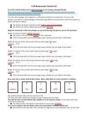 The focus of this resource is cell homeostasis and, more specifically, osmosis. Cell Homeostasis Virtual Lab Key Cell Homeostasis Virtual Lab Go To This Website And Be Sure To Read Every Page As Your Progress Through The Lab Course Hero