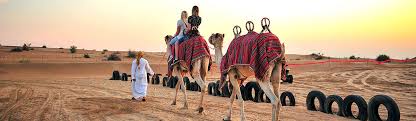 Camels are known to be able to travel far distances for a long time. Desert Safari Dubai Camel Rides Hot Air Balloons Sand Dune Surfing