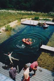 Good Old Fashioned Swimming Hole Natural Swimming Pools Natural Swimming Pool Natural Pool