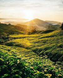 Sunrise Is Such A Great Moment When That First Glimmer Of Light Casts Its Glow On The Land Before You With A Thunderstorm T Cameron Highlands Travel Instagram