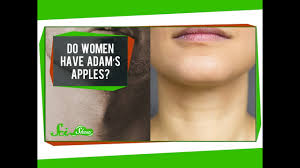 An adam's apple refers to a bump or bulge in the front of a person's neck. Do Women Have Adam S Apples Youtube
