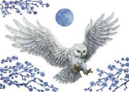 Because everyone needs another owl cross stitch pattern i don't know why owls are such a popular motif in crafting. White Owl No Background Cross Stitch Pattern By Tereena Clarke Crosstitch Com