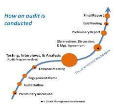 How Internal Audit Is Conducted Internal Audit Audit Services Business Management Degree