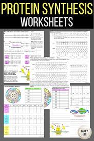 Blog Laney Lee Biology Classroom Middle School Science Resources Teaching Biology