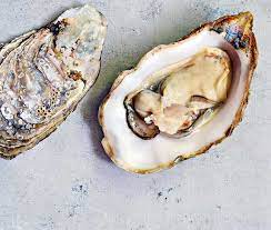 Can Dogs Eat Oysters Raw Cooked In Oil Smoked Zooawesome