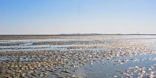 Das ist die deutsche nordseeküste. Lebensraum Wattenmeer