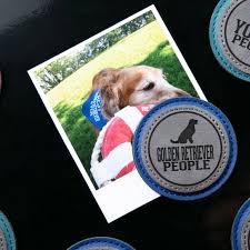 We're in convenient locations, with classes nearly every day of the week, at convenient times. Pavilion Golden Retriever People 2 5 Inch Magnet Unique Cats Retriever Golden Retriever
