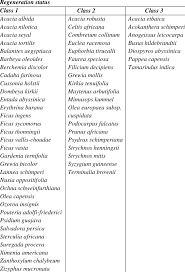 Image result for Faurea discolor