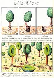Testosterone is responsible for energy, strength, performance. Luigi Serafini Explore Tumblr Posts And Blogs Tumgir