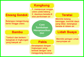 Kunci Jawaban Ipa Kelas 8 Semester 2 Halaman 76 Belajar Ipa Bersama