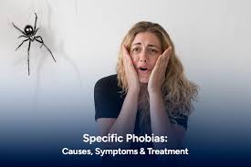 Image result for Specific Phobia