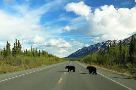 It ends in chicago, illinois. Your Guide For Driving To Alaska Moving Com