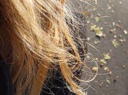 Regular deep conditioning can restore the moisture levels you need. Hair Feels Like Straw Causes And How To Treat
