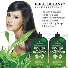 Here are 12 best ways to use tea tree oil for scalp that are collected by vkool.com from reliable sources. Buy Tea Tree Mint Shampoo And Conditioner This Set Contains Pure Tea Tree Oil Peppermint Oil Fights Hair Loss Promotes Hair Growth Fights Dandruff Lice And Itchy Scalp