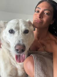 Best Moments #barbaradogtrainer #summer #dogs #friends