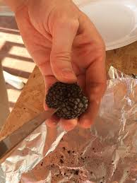 Check spelling or type a new query. Come Pulire Il Tartufo Nero E Il Tartufo Bianco L Oro Della Terra