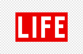 The title means she or her in french. Life Magazine Logo Nachrichtenmagazin Mango Bereich Marke Elle Png Pngwing