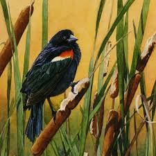 Black Bird With Red And Yellow Wing Tips Red Wing Blackbird In Cattails Watercolor 8x10 By Cindydaystudio Red Wing Blackbird Black Bird Sunset Landscape