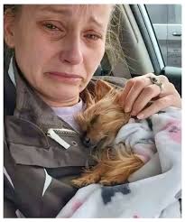 Nous la chercherons encore et encore. Eva perdue ou volée. Le 12 juin 2025  au pont de lagnieu ou parking Viarhona. Vers 22h30. St Sorlin en Bugey.  01150. Rendez la nous s'il