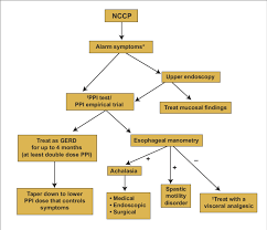 Diagnostic And Treatment Algorithm For Noncardiac Chest Pain Nccp Download Scientific Diagram