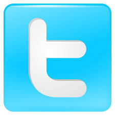 Image result for twitter button for website