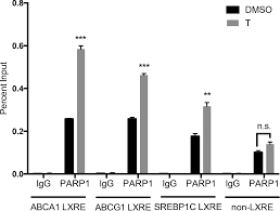 Poly(ADP-ribose) Polymerase 1 Represses Liver X Receptor-mediated ABCA1  Expression and Cholesterol Efflux in Macrophages*
